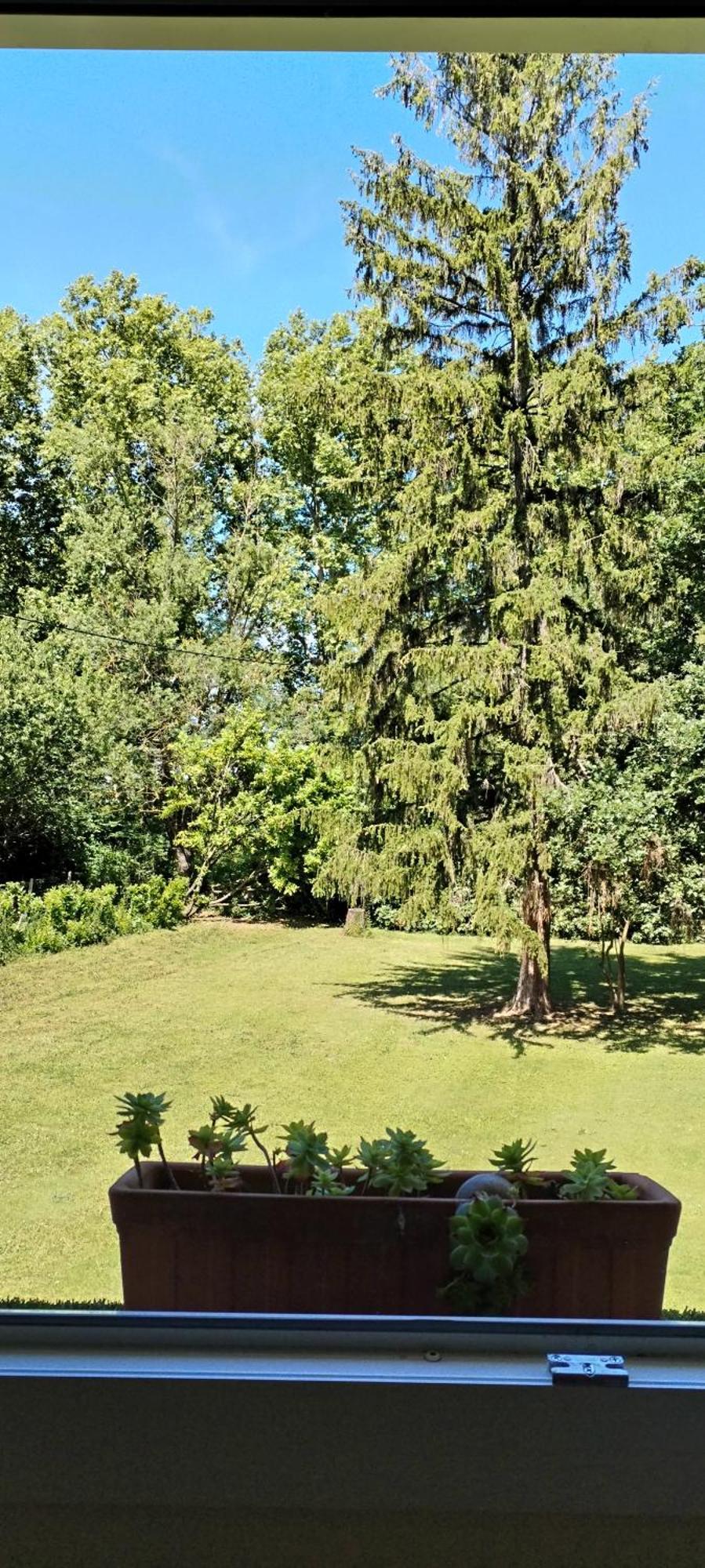 Montgiscard La Casanat Bed & Breakfast エクステリア 写真