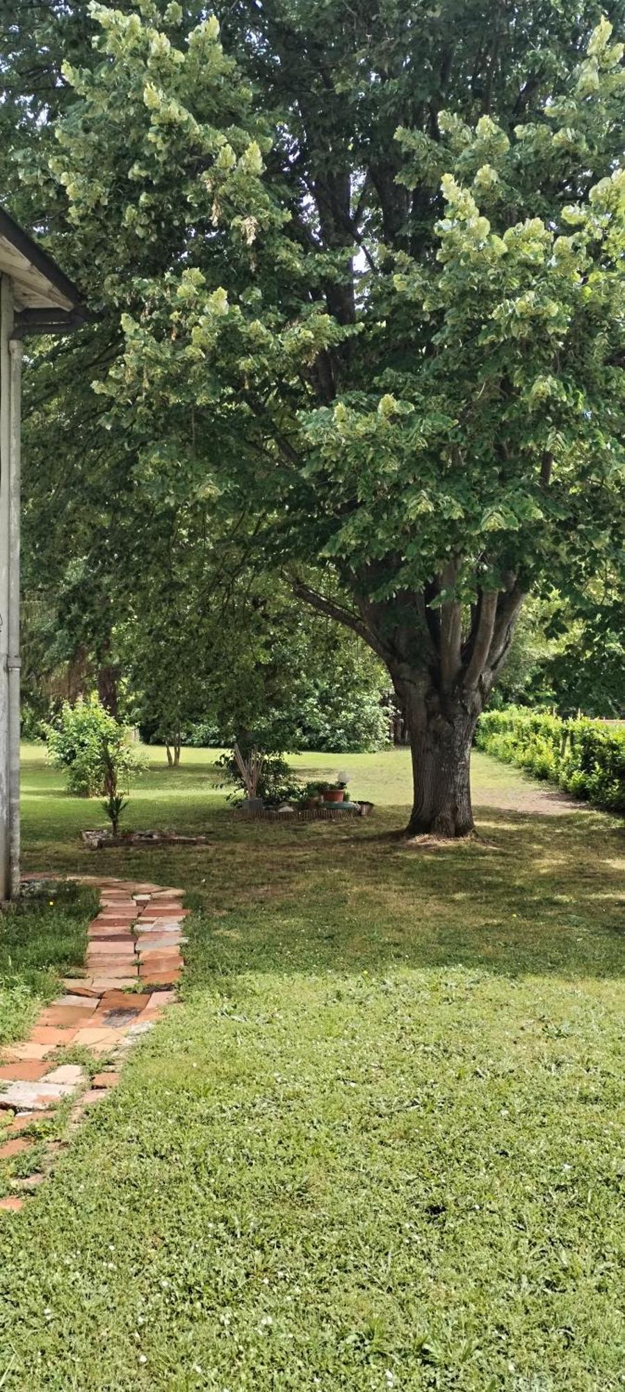 Montgiscard La Casanat Bed & Breakfast エクステリア 写真